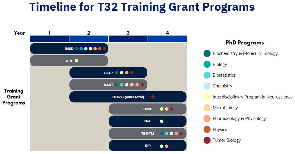 A chart labeled "Timeline for T32 Training Grant Programs," displaying predoctoral eligibility for T32 training grant programs, i.e., which Ph.D. programs' students are eligible and for which years of study. Eligibility information is listed under each program on the Training Grants page.