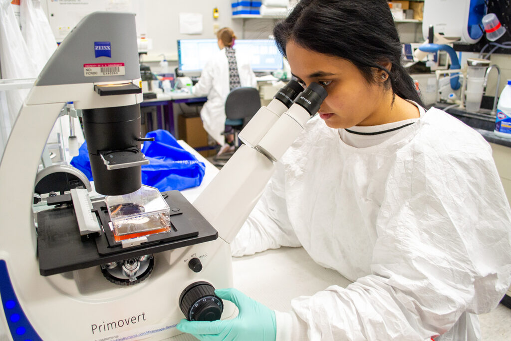 Chinmayee Mehta examines a cell sample in the Catalfamo lab.