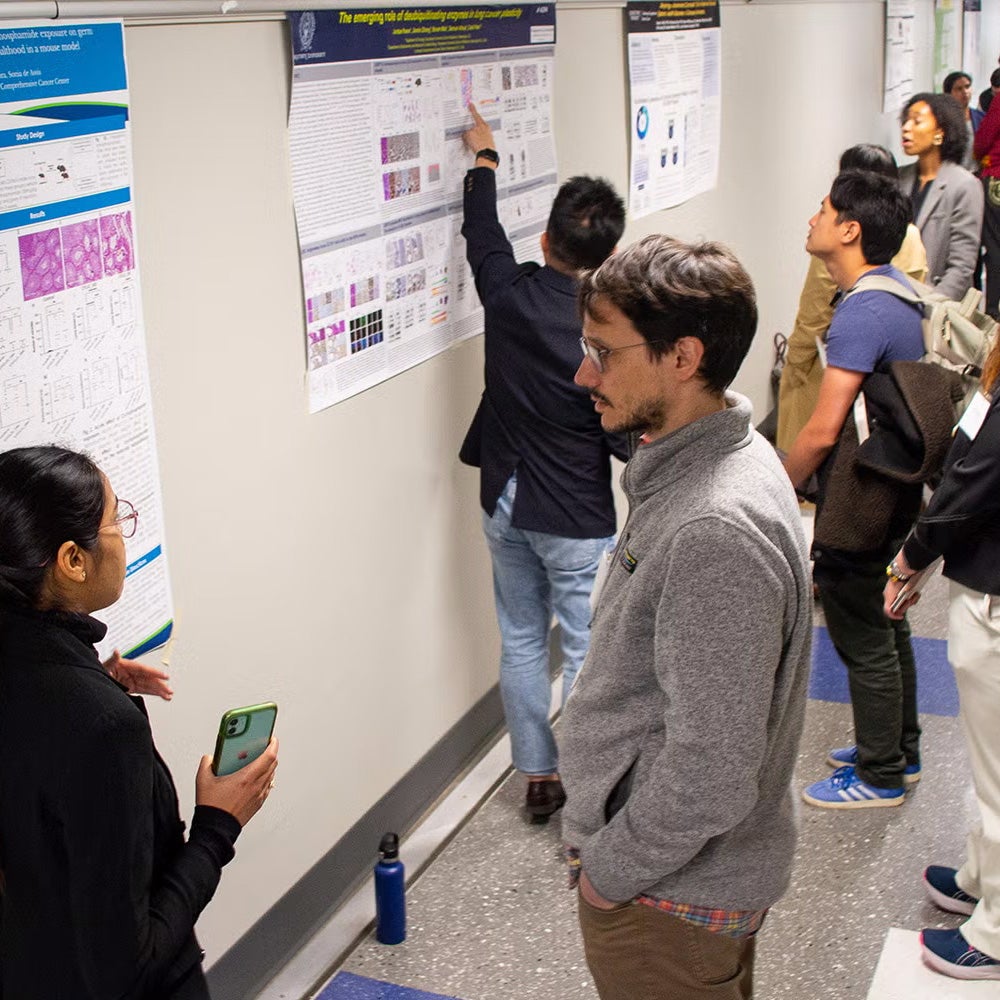 Postdocs and other attendees discuss poster presentations in the Preclinical Science Building at the 2024 Postdoctoral Research Symposium.