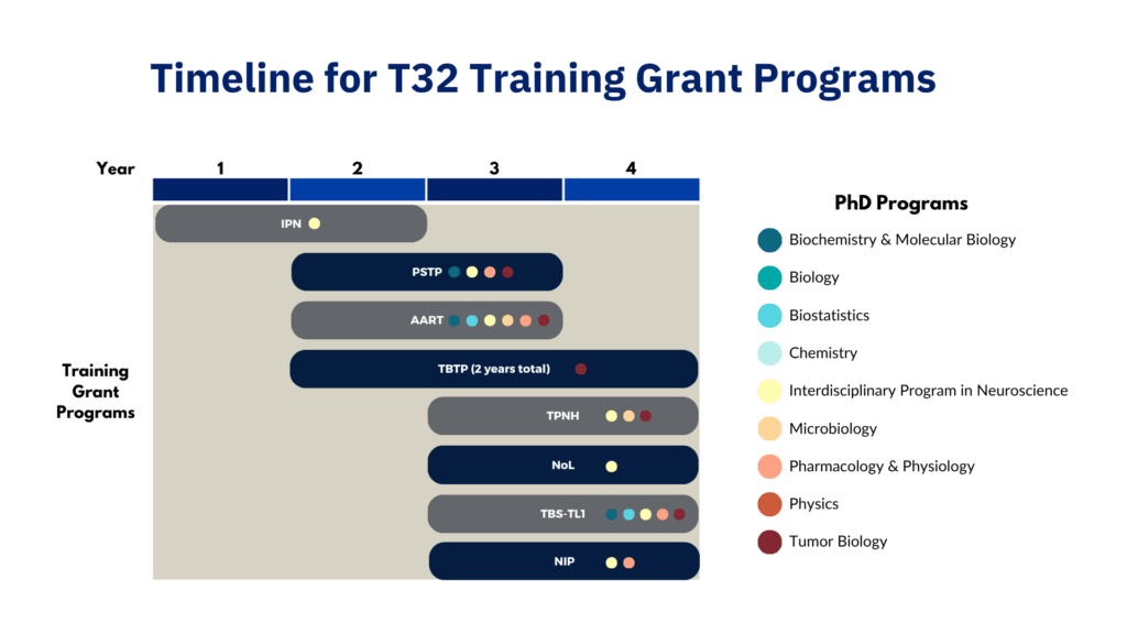 A chart labeled "Timeline for T32 Training Grant Programs," displaying predoctoral eligibility for T32 training grant programs, i.e., which Ph.D. programs' students are eligible and for which years of study. Eligibility information is listed under each program on the Training Grants page.