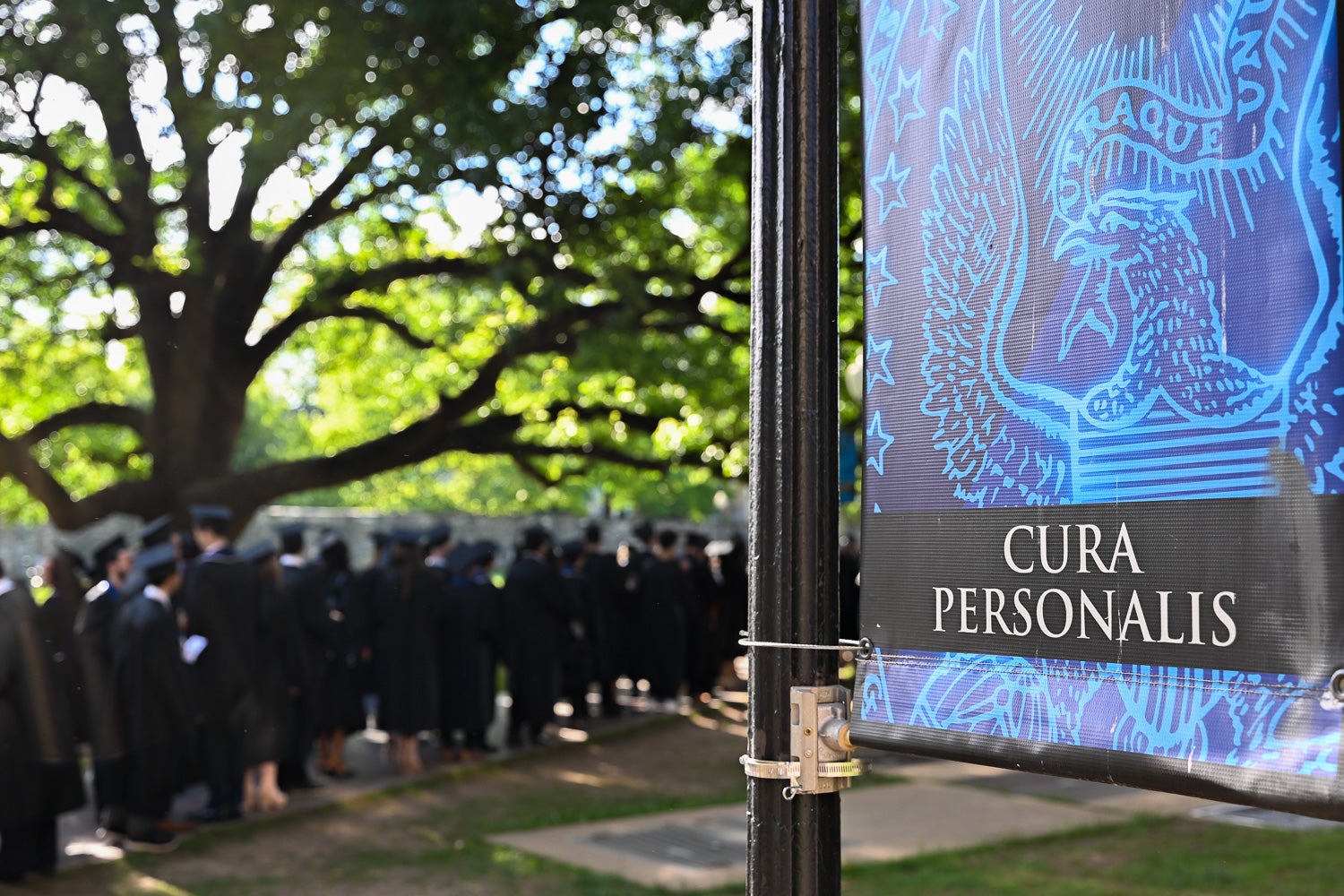 Graduates in commencement regalia process across Copley Lawn to the ceremony