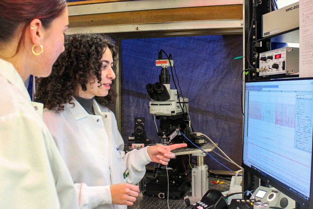 In a lab, Michel Fallah points at a screen of data as a fellow student looks on