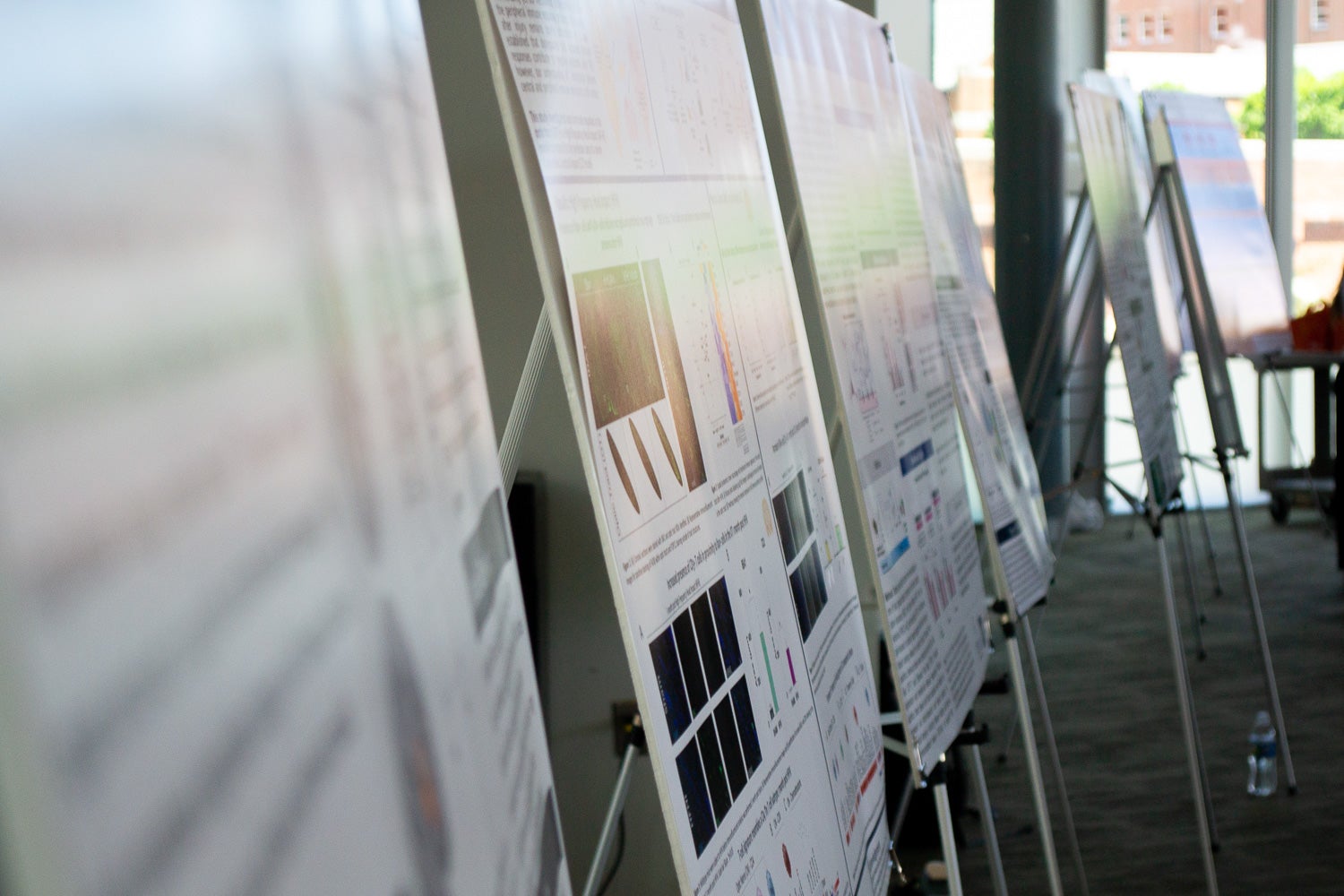 Posters at Neuroscience Student Research Day